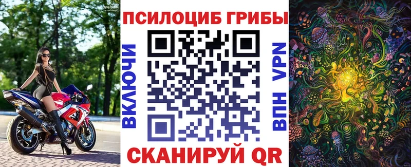 Галлюциногенные грибы MAGIC MUSHROOMS  даркнет сайт  Краснодар 